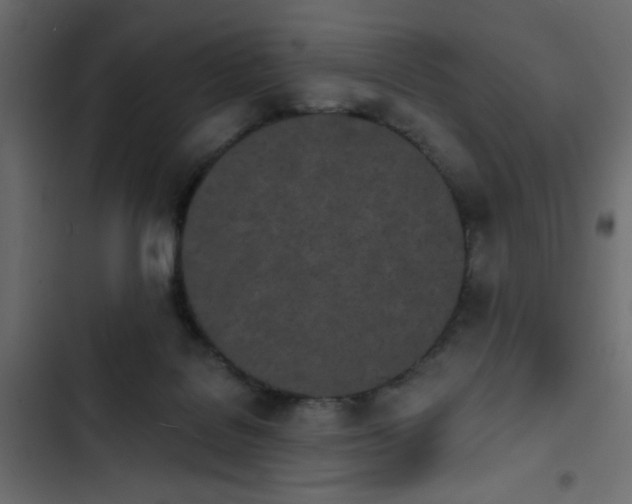 X0000103930076200809261712