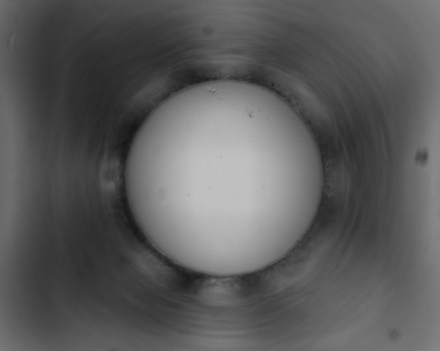X0000103930077200809261712