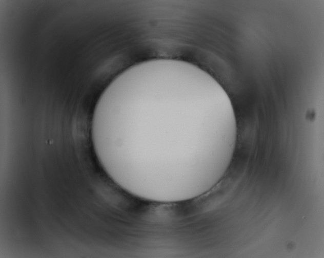 X0000103930078200809261713