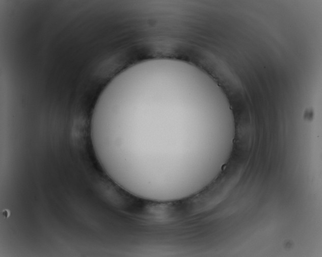 X0000103930079200809261713