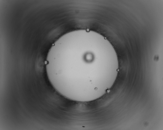 X0000103930080200809261713