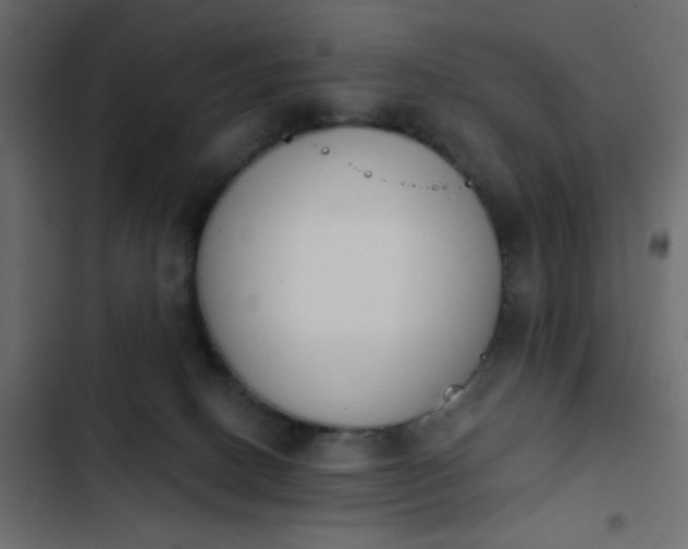 X0000103930082200809261713