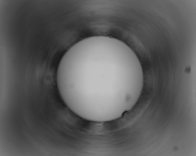 X0000103930083200809261713