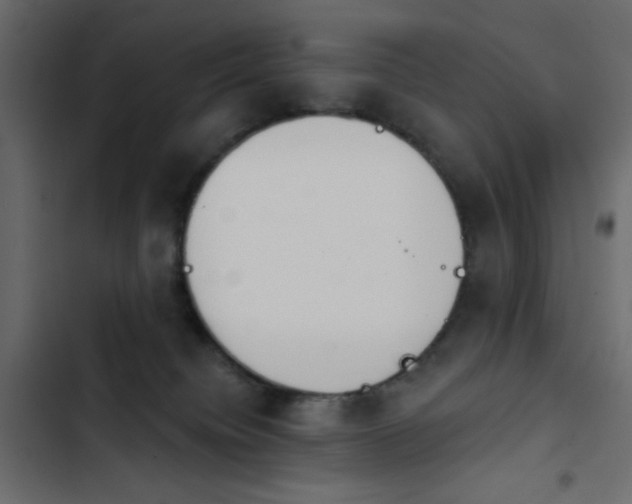 X0000103930084200809261713