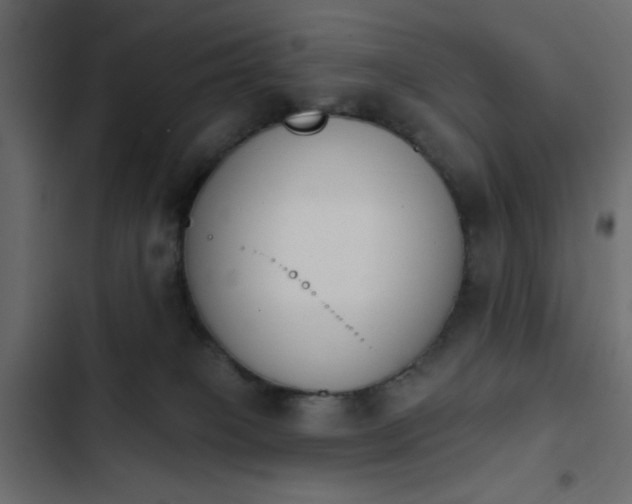 X0000103930085200809261713