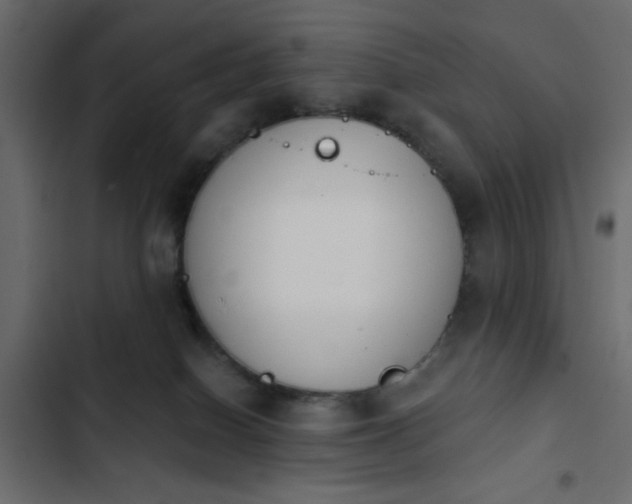 X0000103930086200809261713