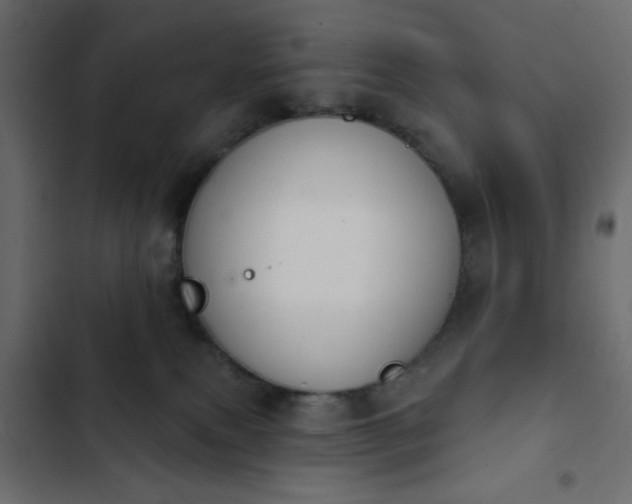 X0000103930087200809261713