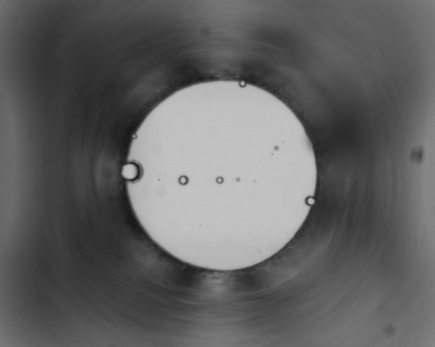 X0000103930088200809261713