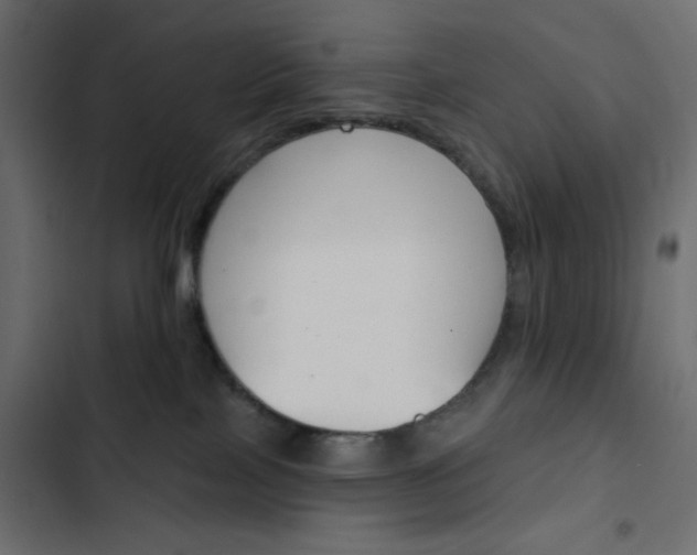X0000103930089200809261713