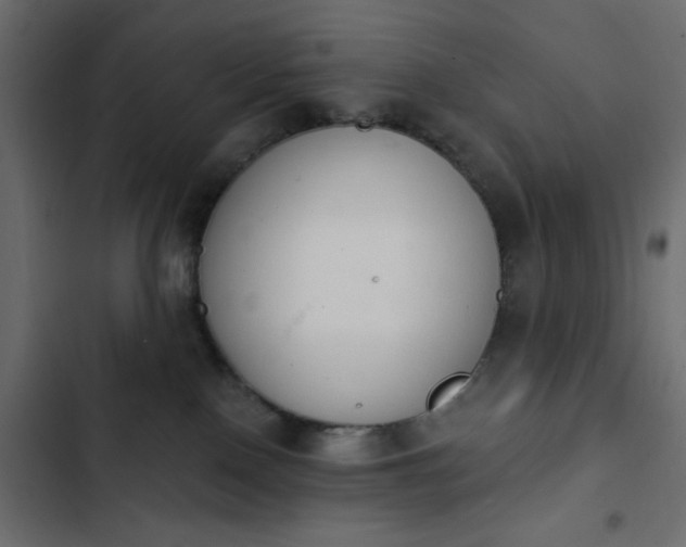 X0000103930090200809261713