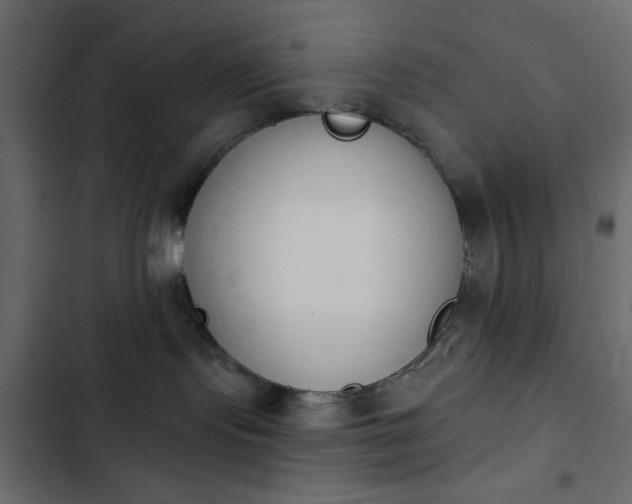 X0000103930095200809261713