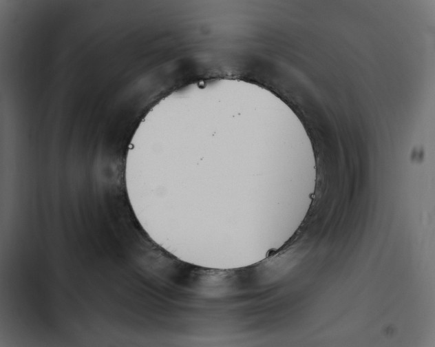 X0000103930096200809261713