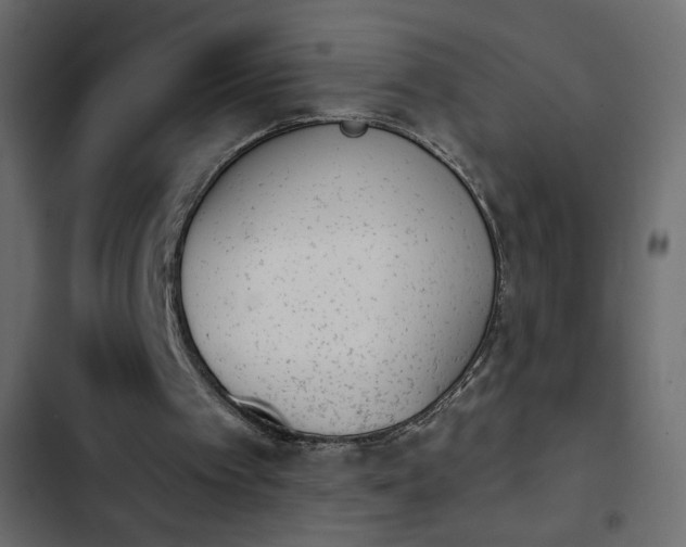 X0000103930097200809261712