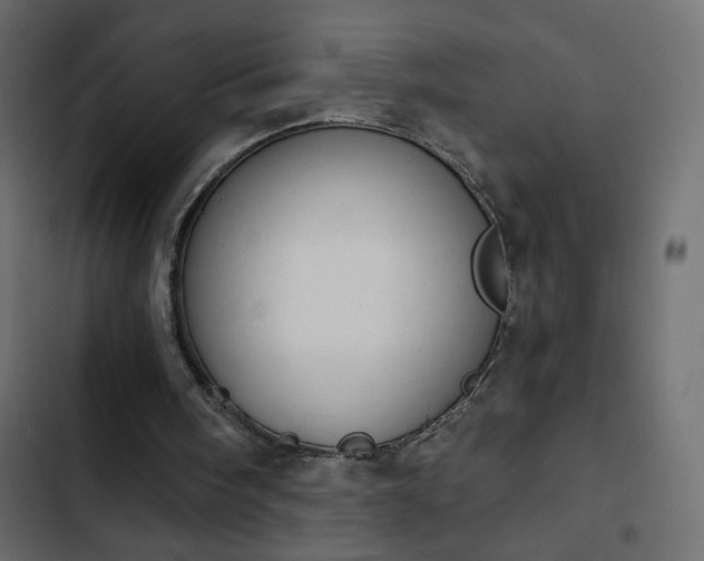 X0000103930098200809261712