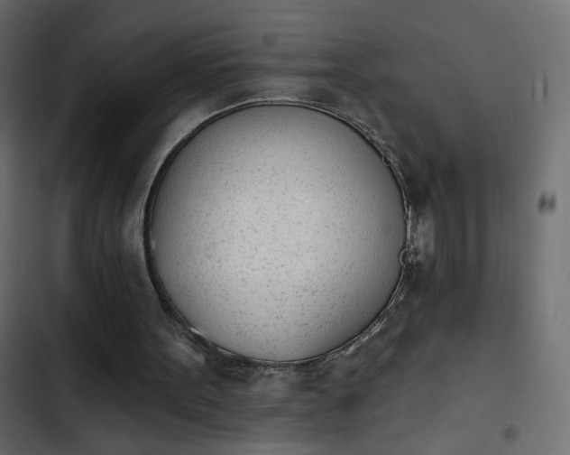 X0000103930099200809261712