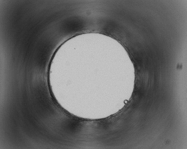 X0000103930100200809261712