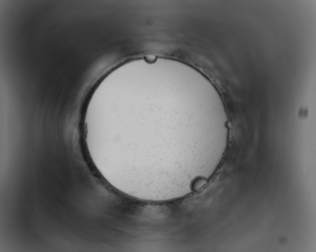 X0000103930101200809261712