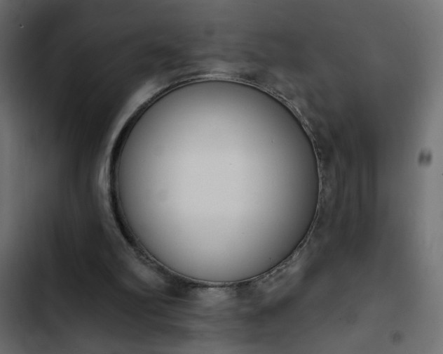 X0000103930102200809261712