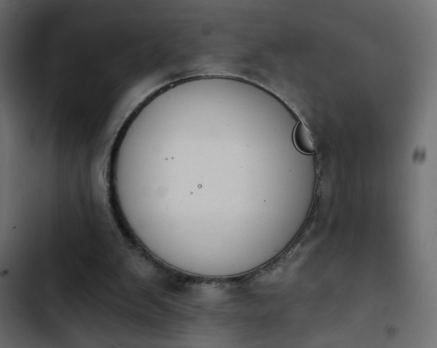 X0000103930103200809261712