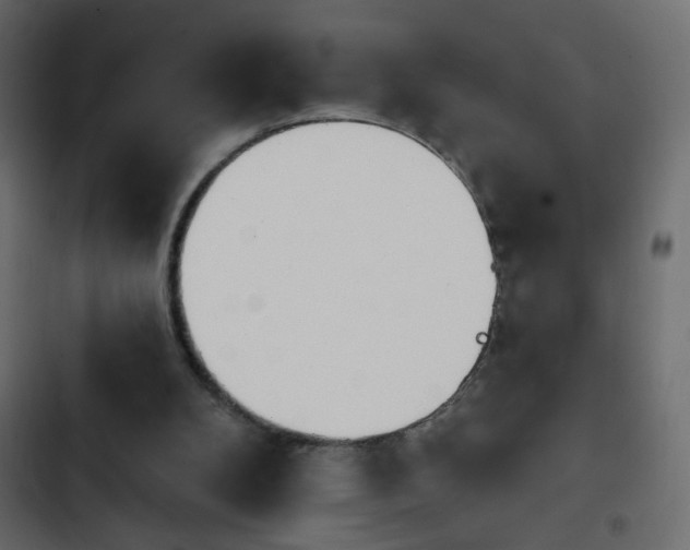 X0000103930104200809261712