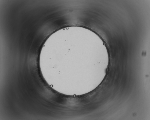 X0000103930105200809261712