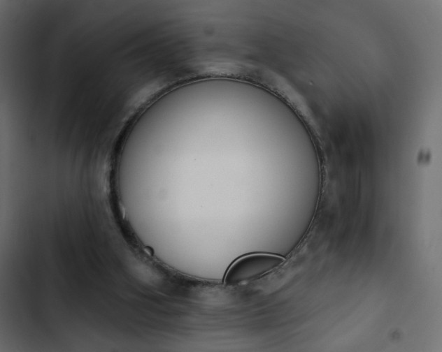 X0000103930106200809261712