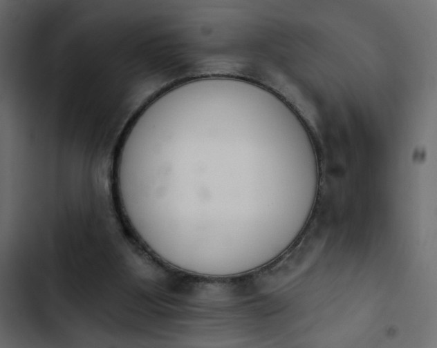 X0000103930107200809261712