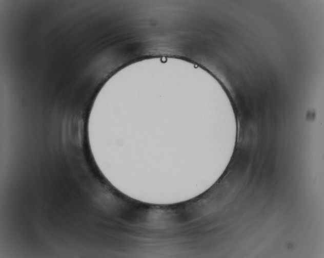 X0000103930109200809261712