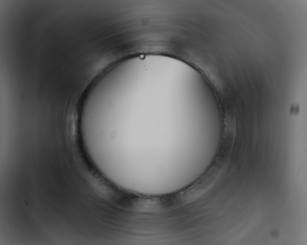 X0000103930110200809261712