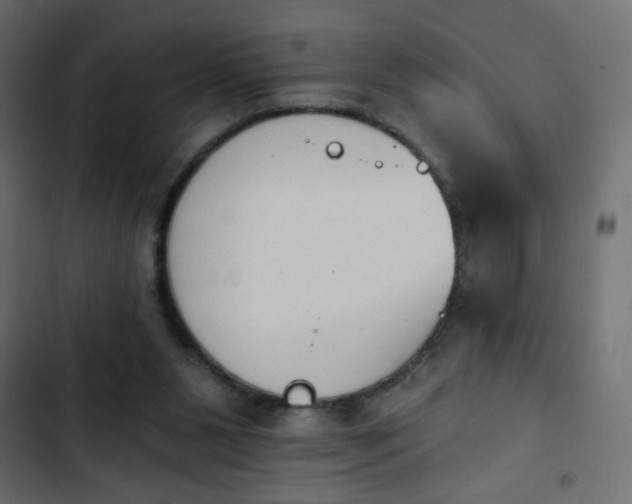 X0000103930111200809261712