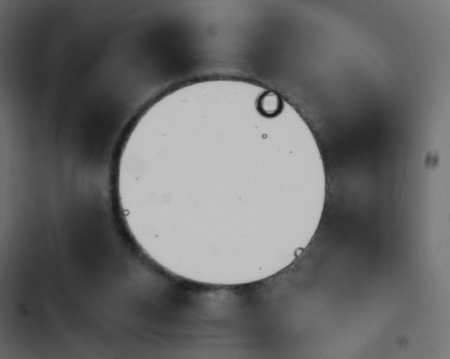 X0000103930112200809261712
