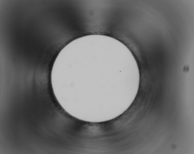 X0000103930113200809261712
