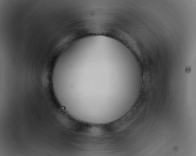 X0000103930114200809261712
