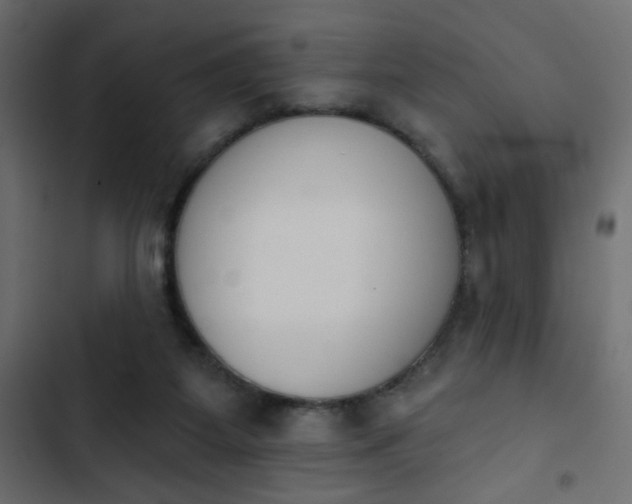X0000103930115200809261712