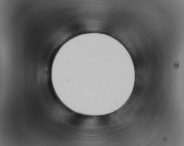 X0000103930116200809261712