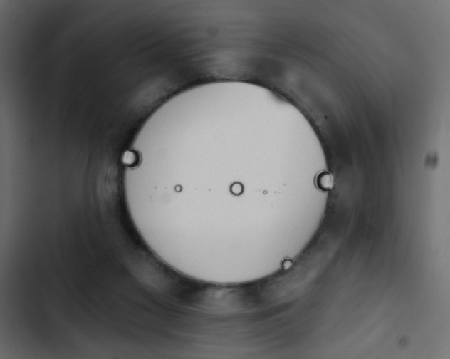 X0000103930117200809261712