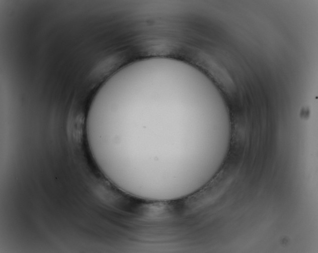 X0000103930118200809261712