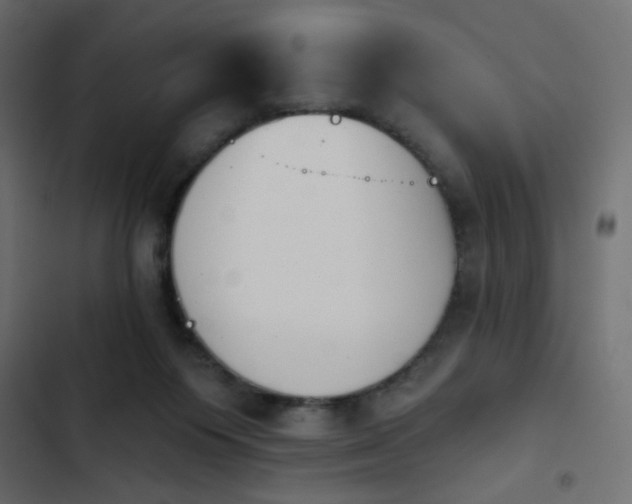 X0000103930119200809261712