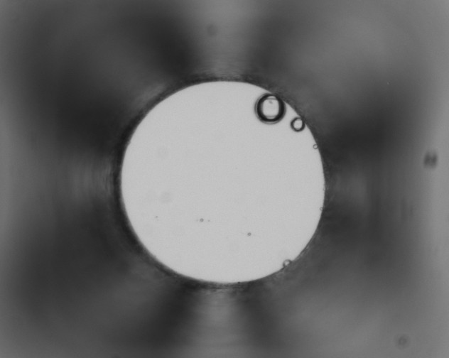 X0000103930120200809261712