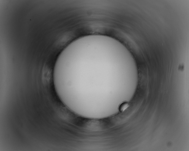 X0000103930123200809261712