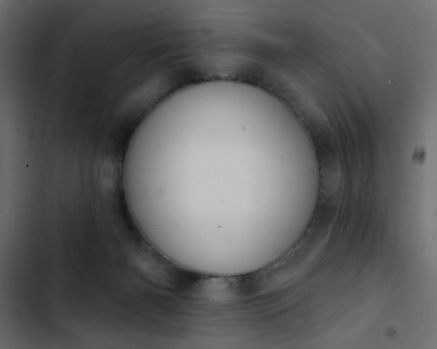 X0000103930126200809261712