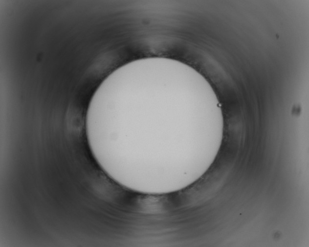 X0000103930129200809261712