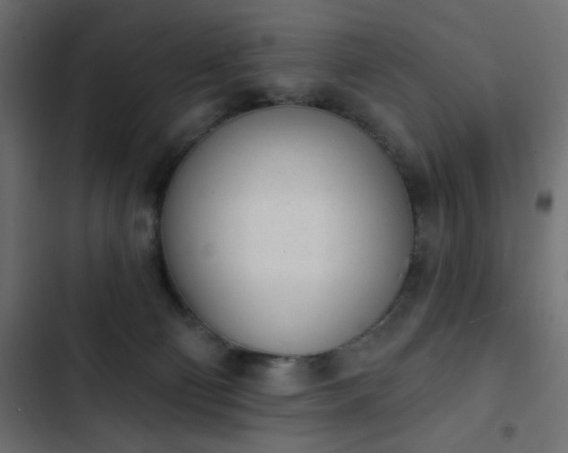 X0000103930130200809261712