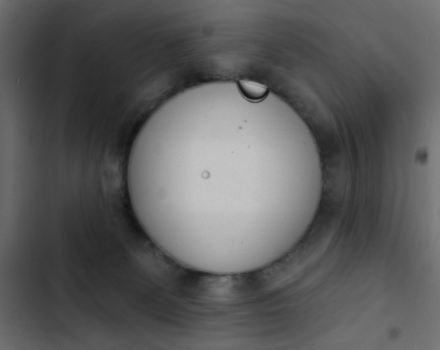 X0000103930131200809261712