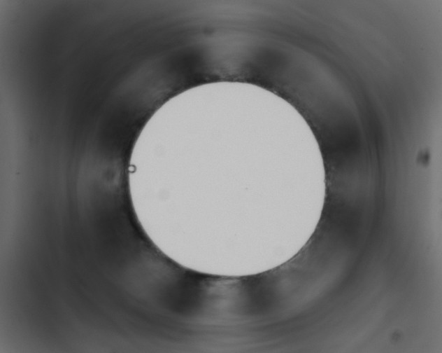X0000103930132200809261712