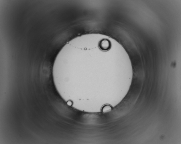X0000103930133200809261712