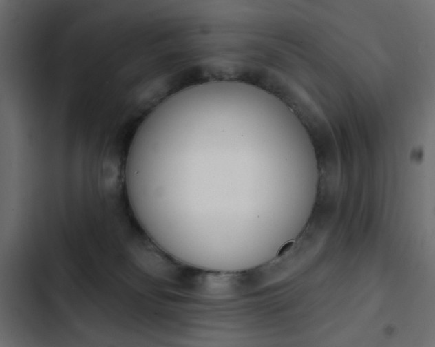 X0000103930134200809261712