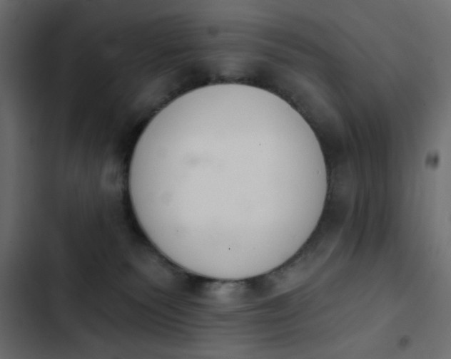 X0000103930135200809261712