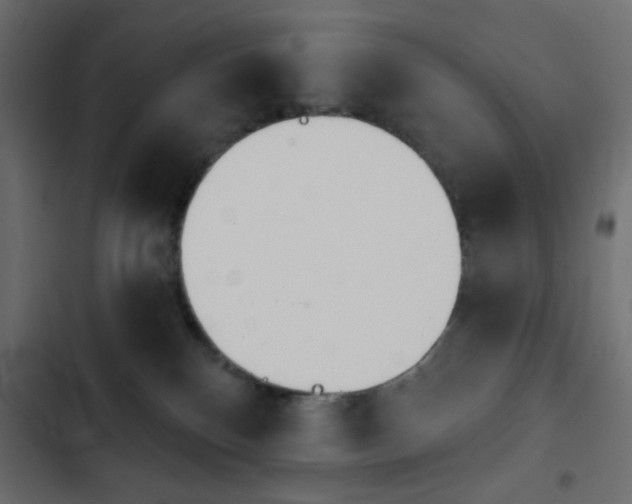 X0000103930136200809261712