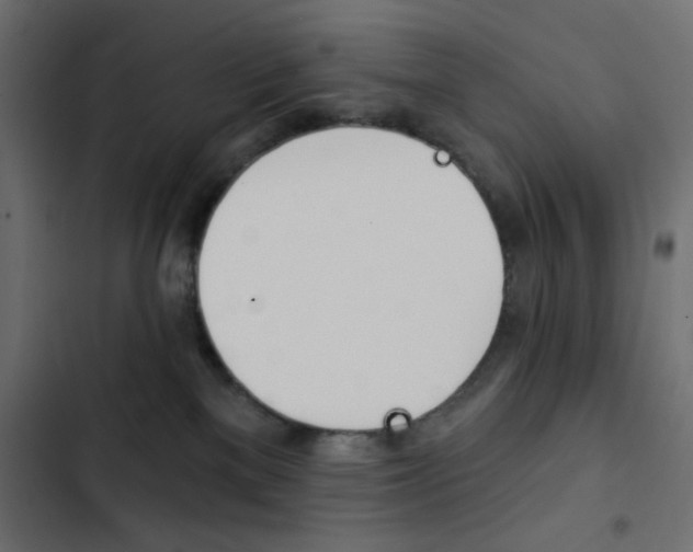 X0000103930137200809261712